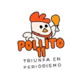 Pollito11