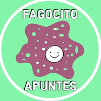 fagocitoapuntes_1733741239