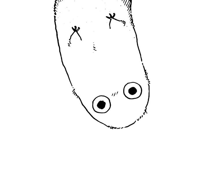 IdairaRGY